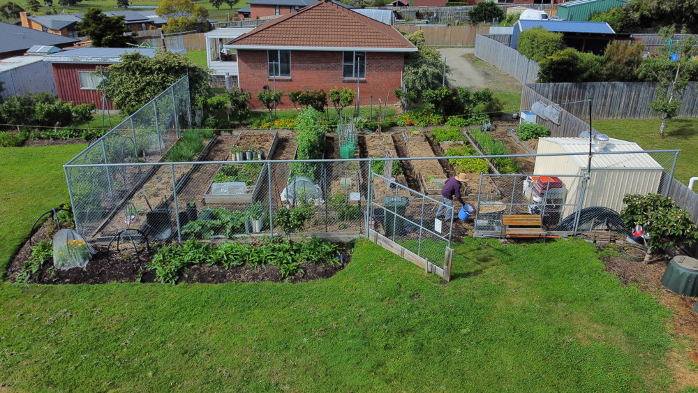 December ariel view of the shed garden